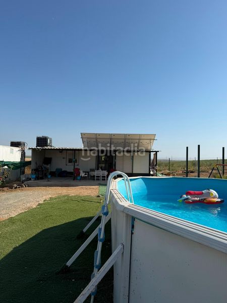 Foto adf29d10-ca17-49c4-9884-bda087570502. Finca rústica a Salesianos Utrera