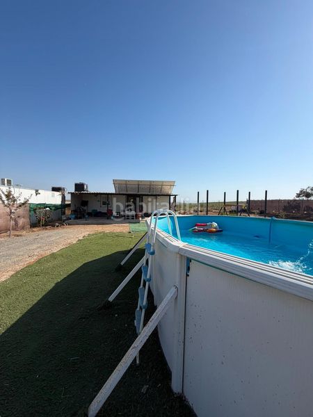 Foto de17d12a-df7c-4fec-8aec-358229766a54. Finca rústica a Salesianos Utrera
