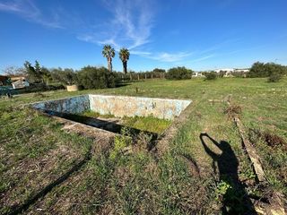 Rural plot in Pedanías Norte. Parcela rústica