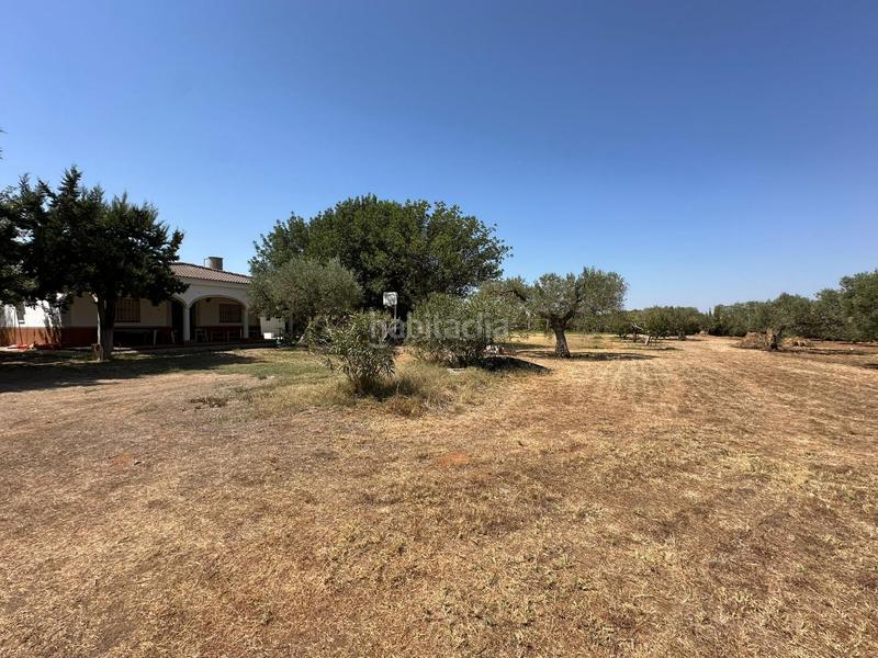 Foto fa870741-e7c1-4486-8f97-8d93359c9cfc. Casa con parcheggio in Pedanías Sur Utrera
