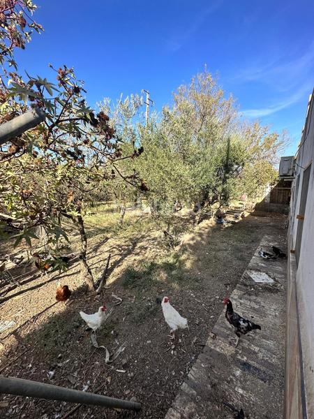 Foto 08348d51-fe6b-4a62-9174-93bb9272aa4e. Mas dans Pedanías Norte Utrera