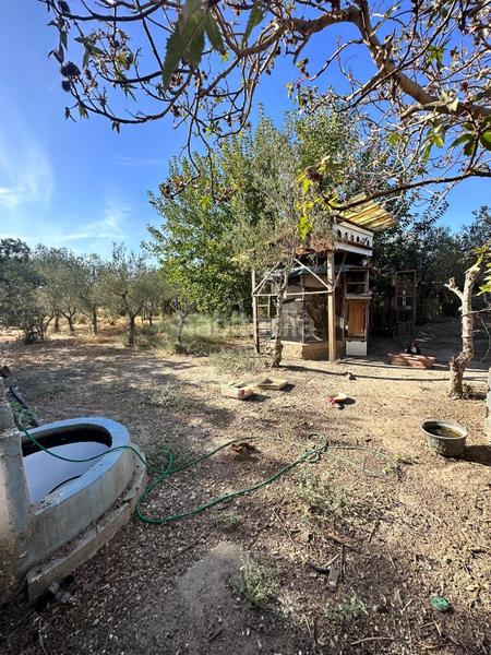 Foto 13e1ee3a-1ebd-4caf-8e6c-0330bbc0268e. Mas dans Pedanías Norte Utrera