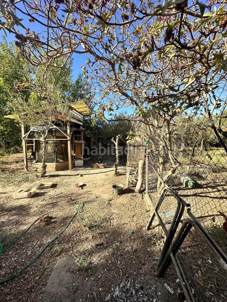 Foto 7fdf00fe-ce1d-4ba1-9e12-80a94d91c1cf. Mas dans Pedanías Norte Utrera