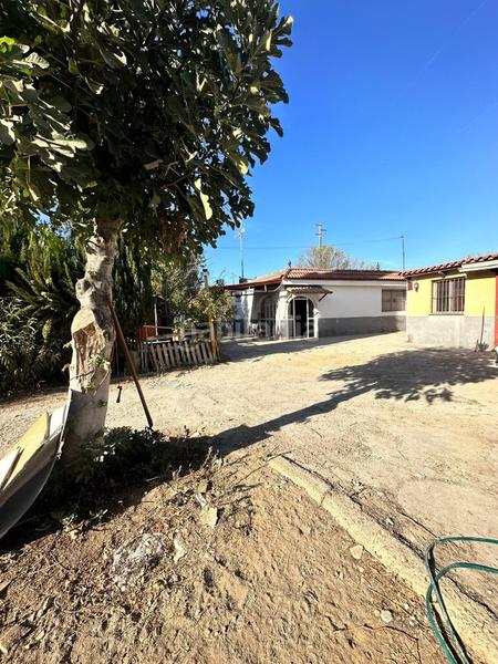 Foto fc6fcad4-bd29-40e0-81fa-32d1aafec784. Mas dans Pedanías Norte Utrera