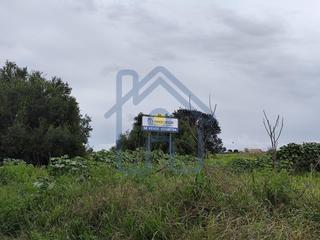 Propriété à Palacios y Villafranca (Los). Terreno urbanizable en el sus5