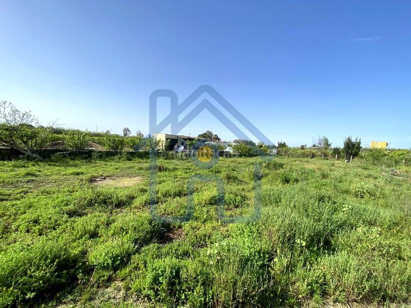 Foto b65da7dc-9c26-4760-8842-f82d6c9b9418. Finca rústica parcela rústica en Palacios y Villafranca (Los)