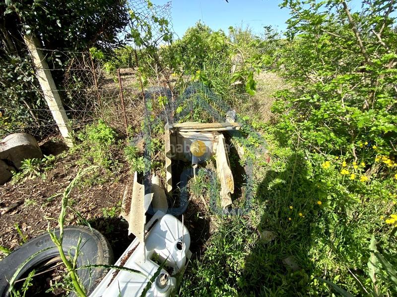 Foto fe31b50a-f5ca-497c-9aba-7585a3b25cb0. Finca rústica parcela rústica en Palacios y Villafranca (Los)