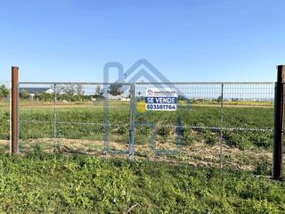 Finca rstica en Palacios y Villafranca (Los). Terreno en los barreros