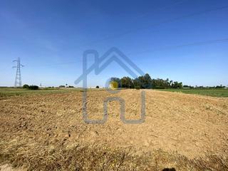 Propriété à Palacios y Villafranca (Los). Terreno en la espartalera