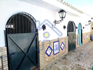 Terreno residencial en Palacios y Villafranca (Los). Parcela en la puya