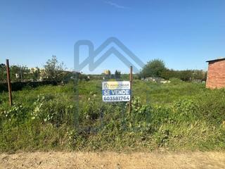 Terrain rsidentiel en Palacios y Villafranca (Los). Parcela rstica