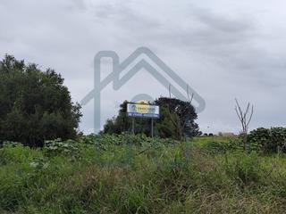 Terrain rsidentiel en Palacios y Villafranca (Los). Terreno urbanizable en el sus5