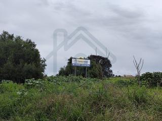 Proprit en Palacios y Villafranca (Los). Terreno urbanizable en el sus5