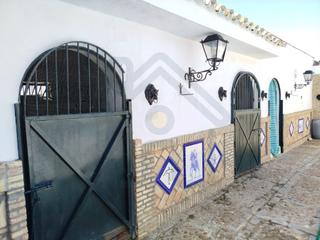 Finca rstica en Palacios y Villafranca (Los). Parcela en la puya