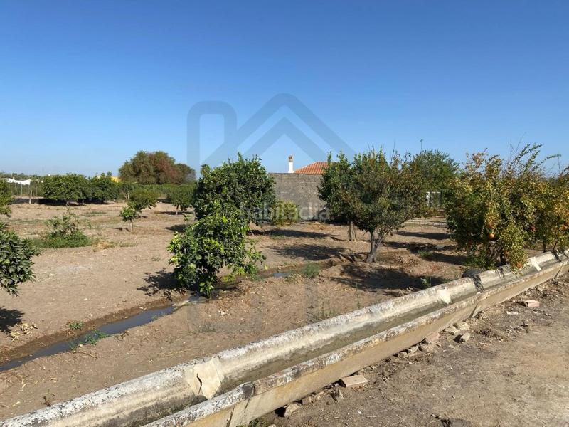 Foto 133ee87a-e8b3-4791-ba86-c6bcaf1a03eb. Finca rústica parcela en la puya en Palacios y Villafranca (Los)