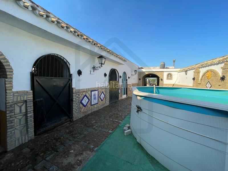 Foto 6b1f50fb-68d4-4f24-8f96-8d28926c29a3. Finca rústica parcela en la puya en Palacios y Villafranca (Los)