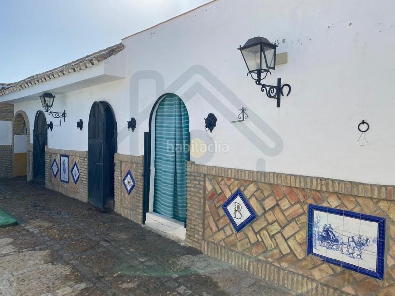 Foto 9947cc04-fbf2-4720-9f5e-d35fea5b23b5. Finca rústica parcela en la puya en Palacios y Villafranca (Los)