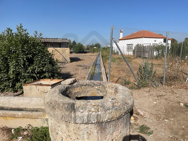 Foto 9b0157d1-55ca-481a-9214-31a98787a049. Finca rústica parcela en la puya en Palacios y Villafranca (Los)