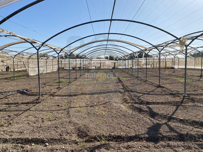 Foto 9eb5a0b9-8cf2-459e-8511-a487746c918a. Finca rústica parcela en la puya en Palacios y Villafranca (Los)