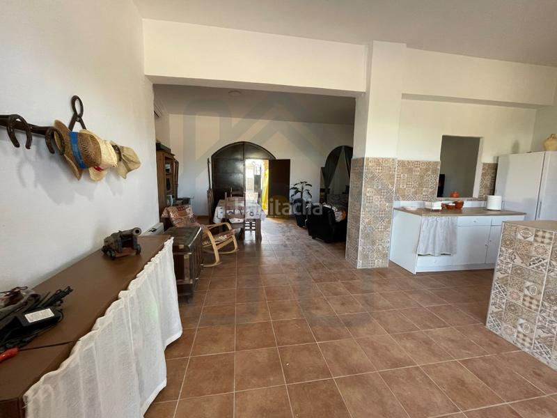 Foto e3122981-0be7-4146-bed4-624fc0b488a5. Finca rústica parcela en la puya en Palacios y Villafranca (Los)