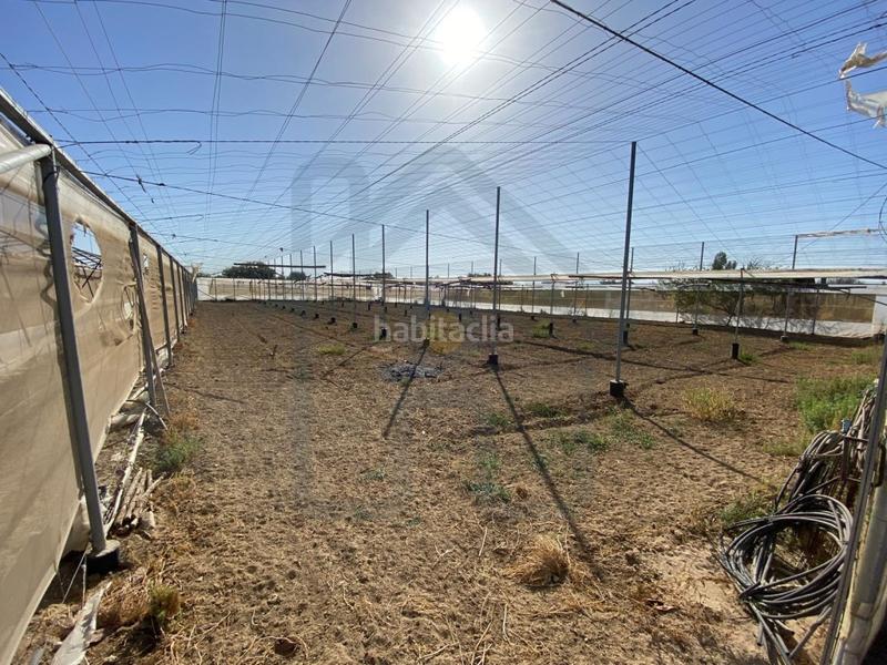 Foto f4d9d047-2791-45d5-8887-2870f480a7ae. Finca rústica parcela en la puya en Palacios y Villafranca (Los)