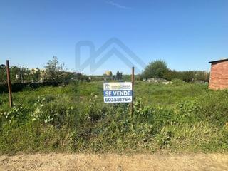 Proprit en Palacios y Villafranca (Los). Parcela rstica