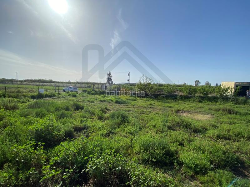 Foto 794d0d31-3a25-42f3-b072-6d39269d0bf3. Landgut in Palacios y Villafranca (Los)