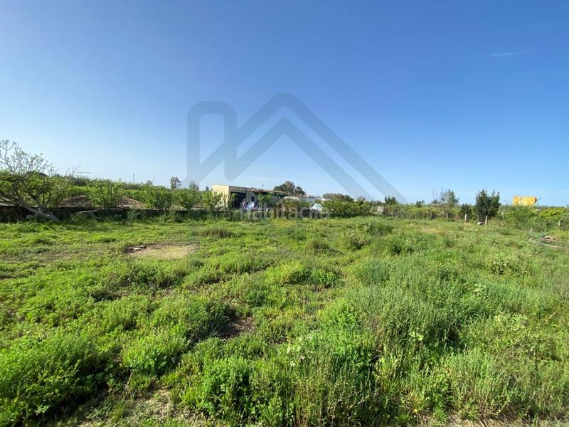 Foto d0c9de68-c9a4-46f7-8184-b9f31cb4936b. Landgut in Palacios y Villafranca (Los)