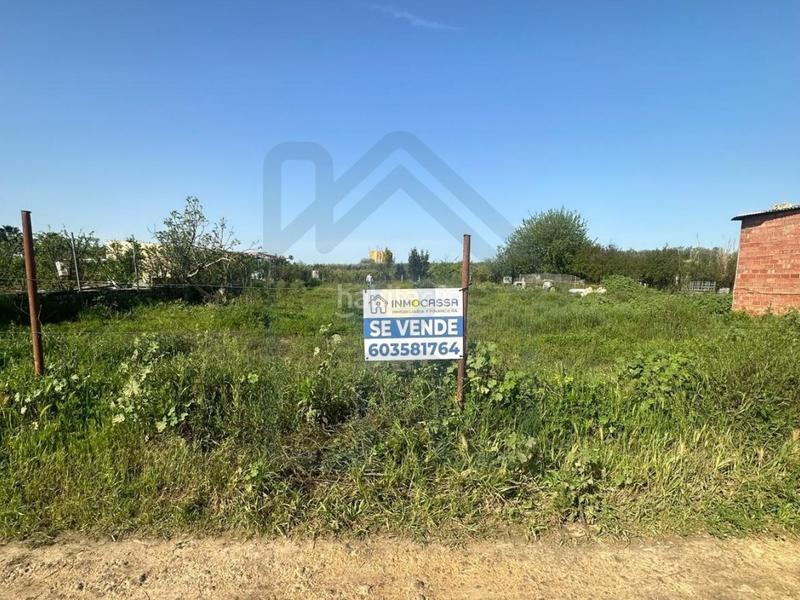 Foto d8096682-12a7-455a-b47a-c5028bf379e9. Landgut in Palacios y Villafranca (Los)