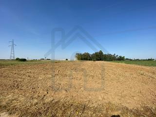 Proprit en Palacios y Villafranca (Los). Terreno en la espartalera