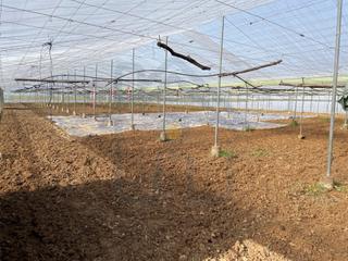 Finca rústica en Pedanías Norte. Parcela rústica en el alcornocalillo