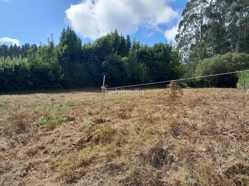 Foto 6a56e166-c346-434a-8965-129031743ae6. Wohngrundstück in Muros