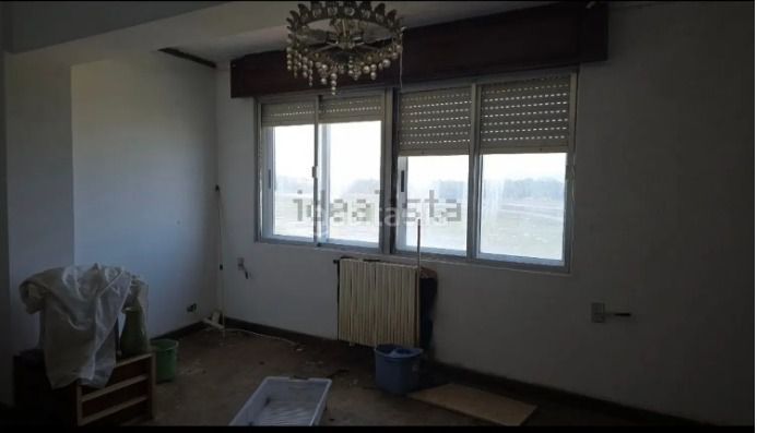 Foto 26654f73-e535-4af4-b0ea-9367747ce391. Pis a Neda