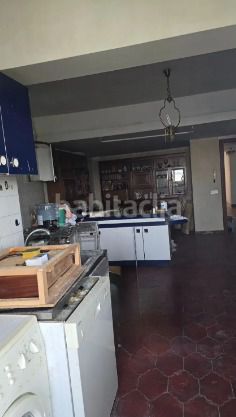 Foto 82ab94b5-250a-495f-9894-f04571386879. Pis a Neda