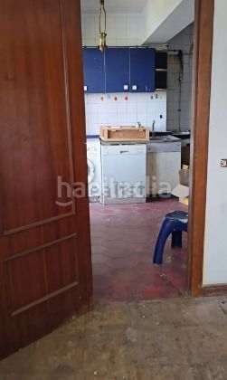 Foto f946a52e-b677-4523-aaf7-172643b3bed4. Pis a Neda