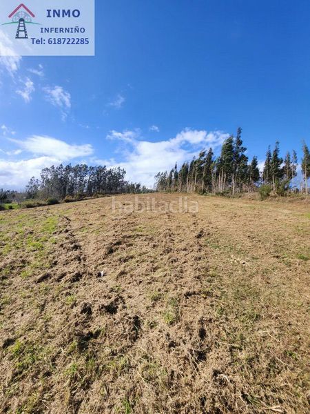 Foto fe7b57e0-b344-453b-84a0-202fe3acfa13. Terreny residencial a Neda