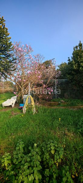 Foto 7996e7a9-7614-441b-9453-9399e8b52a3c. Terreny residencial a Fene