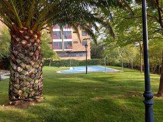 Location Appartement  Calle de ulises. Apartamento en alquiler