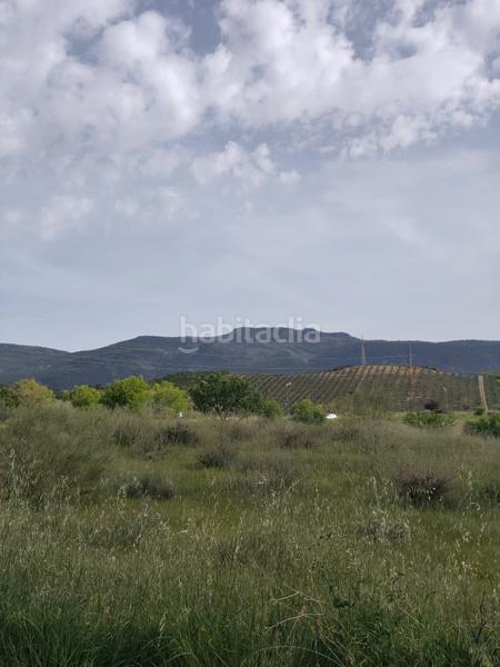 Foto 003bb9b5-868f-45cc-b874-b72144eaeecc. Terreno residencial venta de terreno en Gójar