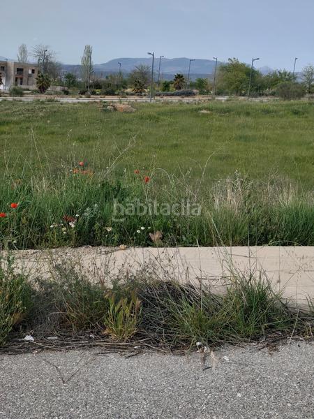 Foto c8395eb9-a8ea-4dc0-b0fd-8ddd5a20518e. Terreno residencial venta de terreno en Gójar