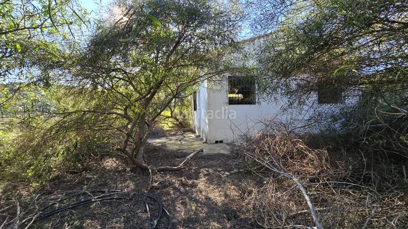 Foto 1c931ca3-cd84-4de4-b09f-3d27113d86e9. Landgut in Oliva pueblo Oliva