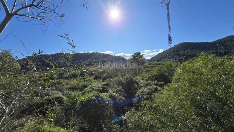 Foto 6630b8e2-49df-430e-8576-ef52cd9dd9d2. Landgut in Oliva pueblo Oliva