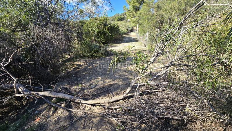 Foto d294d398-3b4e-4a10-9b5a-e8dbd32ad0b6. Landgut in Oliva pueblo Oliva