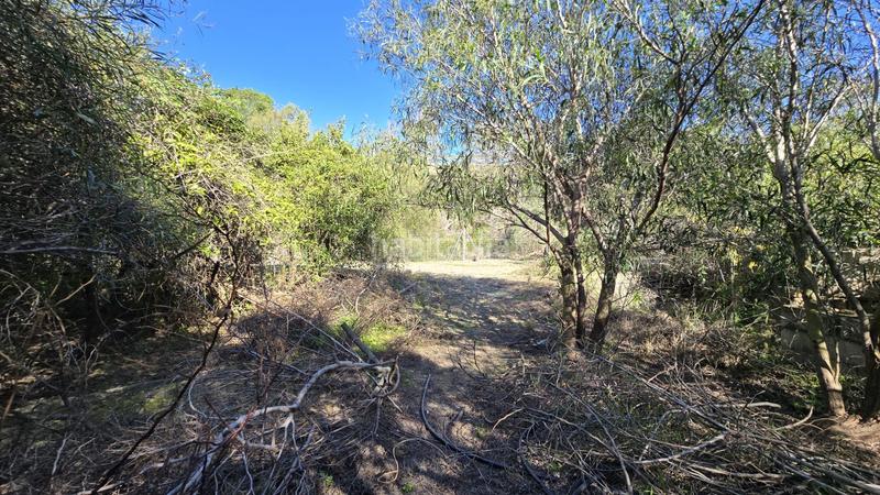 Foto d8f14371-cb58-492c-827c-5786c6031082. Landgut in Oliva pueblo Oliva