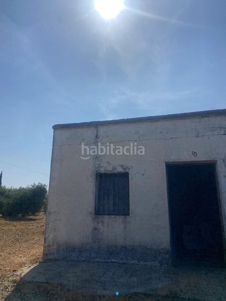 Foto 16b3c8ee-329c-40e8-a005-b1ebdd2478d6. Finca rústica a Puebla de Cazalla (La)