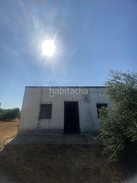 Foto 3b66d083-2fcb-4dd7-9aef-f49f0b32a889. Finca rústica a Puebla de Cazalla (La)