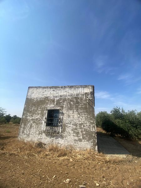 Foto 50667316-a27d-4a25-ad4e-505ab8c9b5d9. Finca rústica a Puebla de Cazalla (La)