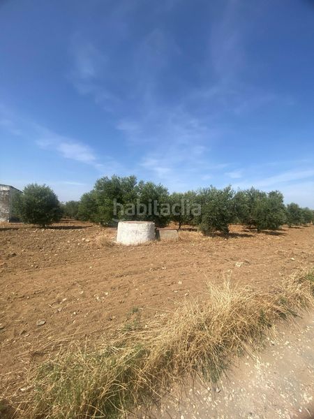 Foto cb1f67c1-07e2-4236-8091-a1d56744bedf. Finca rústica a Puebla de Cazalla (La)