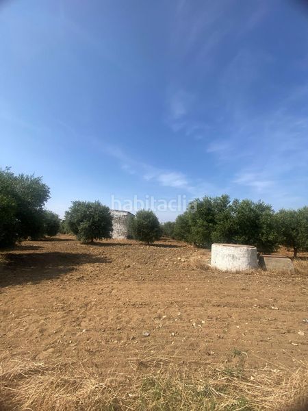 Foto eb44f12a-0966-4e64-ae02-cc0fb7958033. Finca rústica a Puebla de Cazalla (La)