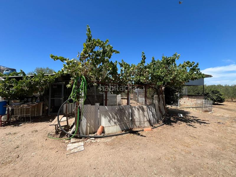 Foto 573e69a1-e8aa-46c5-ae4c-13fb1efcd8c4. Finca rústica magnifica parcela rustica!! en Marchena